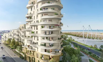 Hoya à Dunkerque