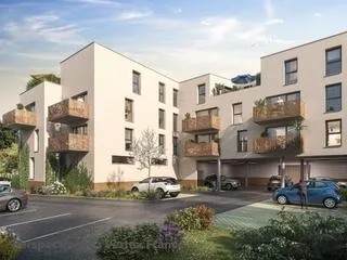 La salicorne à Étaples