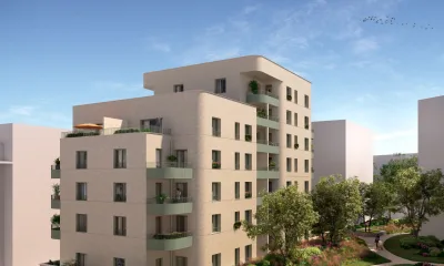 L'acacia à Rennes