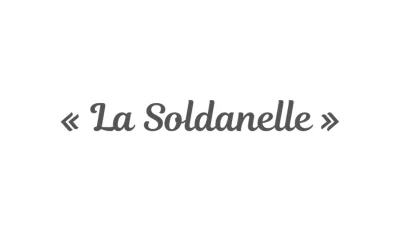 La Soldanelle à Arâches-la-Frasse