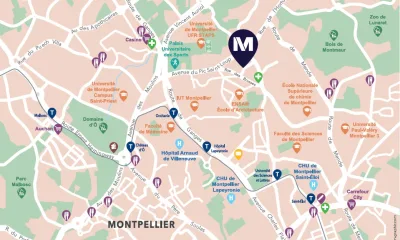 Umami LMNP à Montpellier