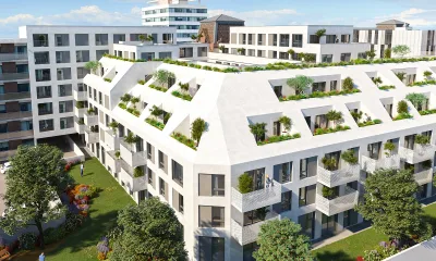 Synésens à Lille