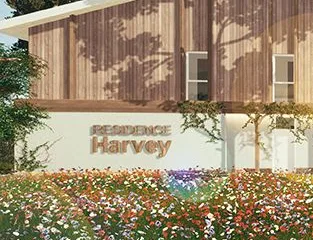 Harvey Biscarrosse à Biscarrosse