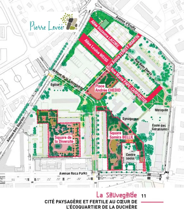 PIERRE LEVÉÉ - LA SAUVEGARDE à Lyon