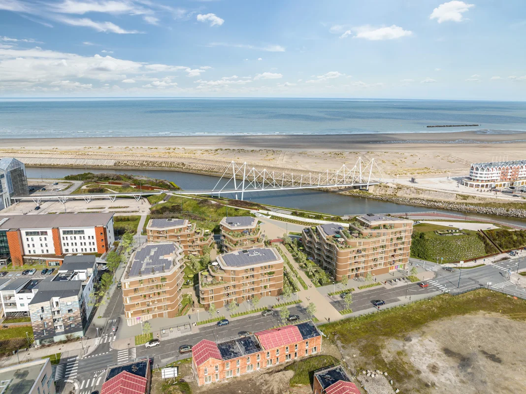 Hélianthe à Dunkerque