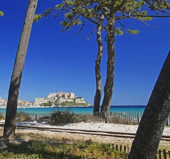 Villa Printemps à Calvi