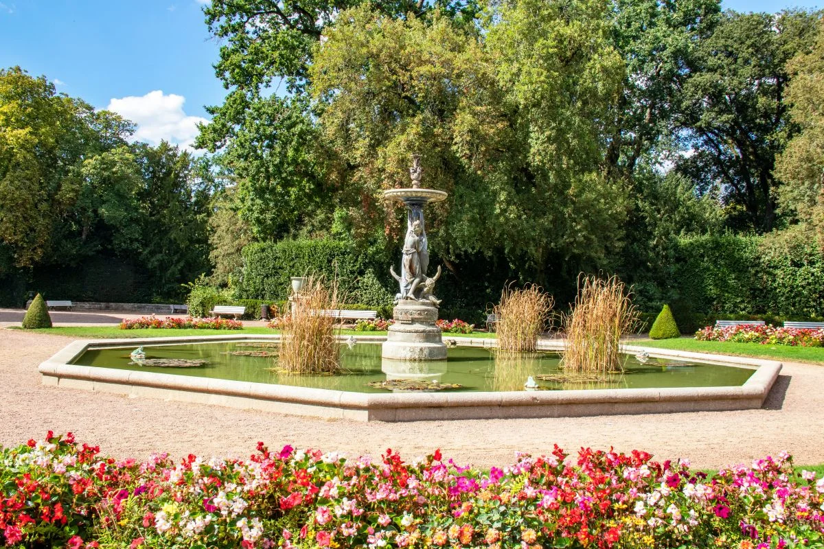 LES ÎLOTS DE LUCIO à Luçon