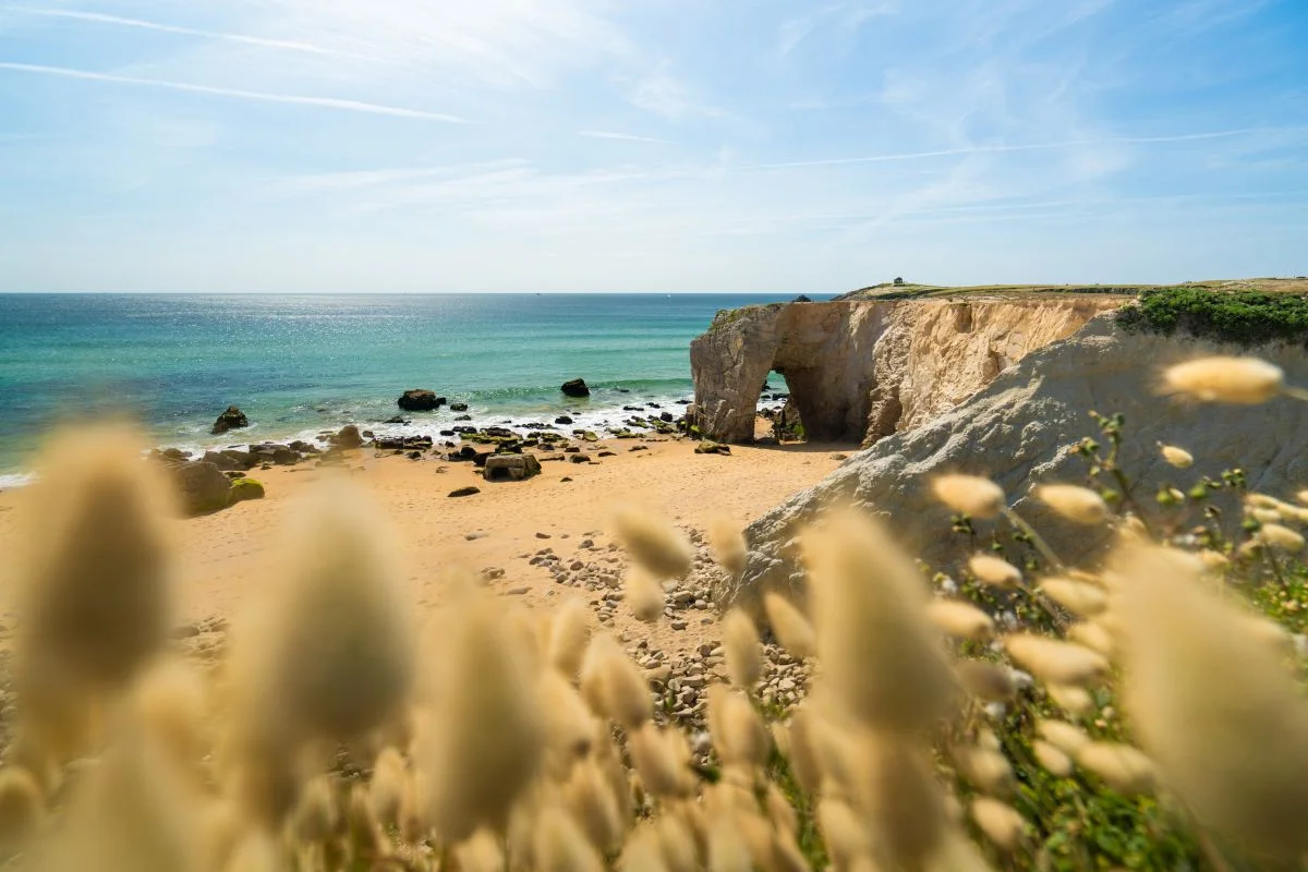 LES VOILES BLANCHES à Quiberon