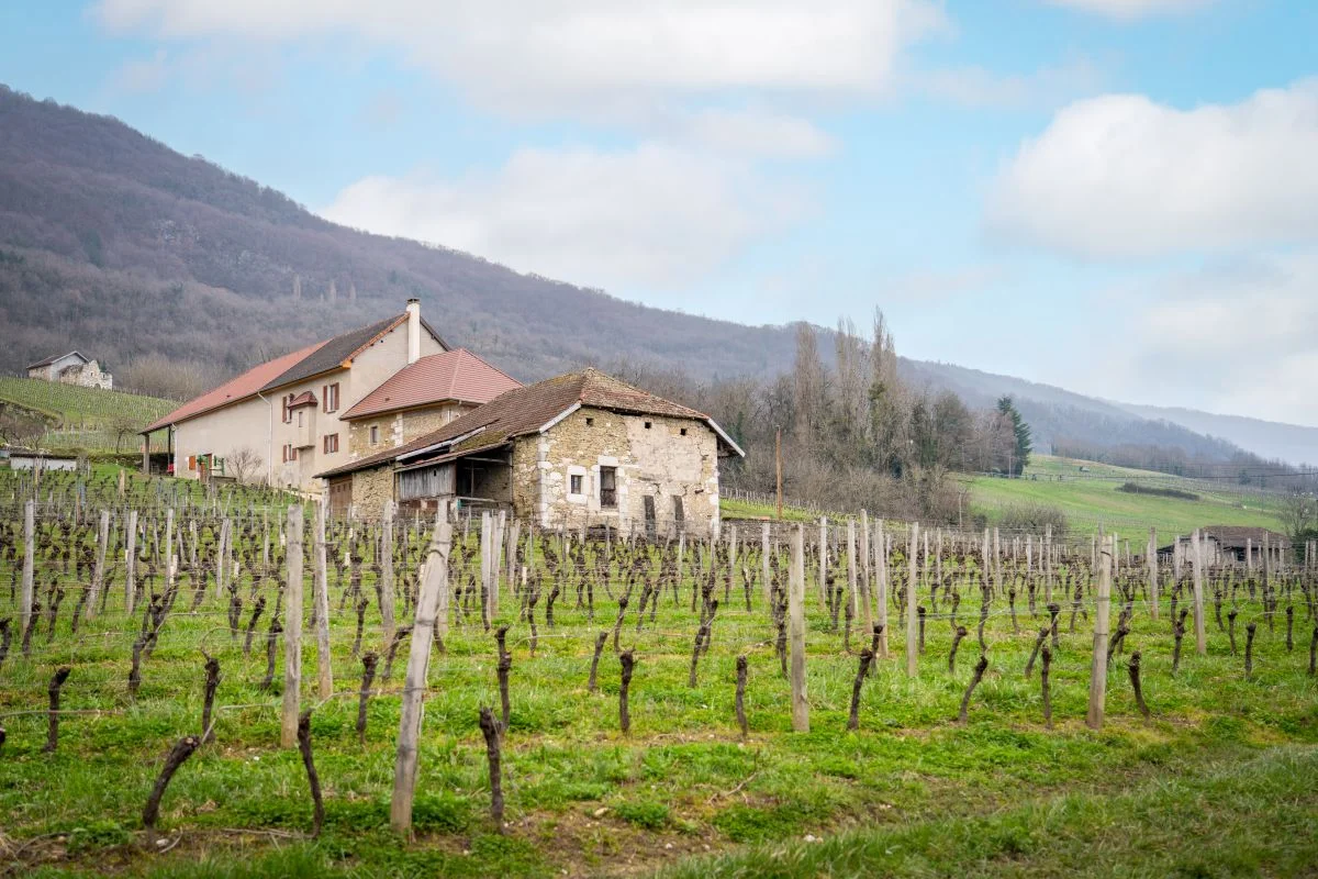 VILLA D'ARBESSIEUX à Chindrieux