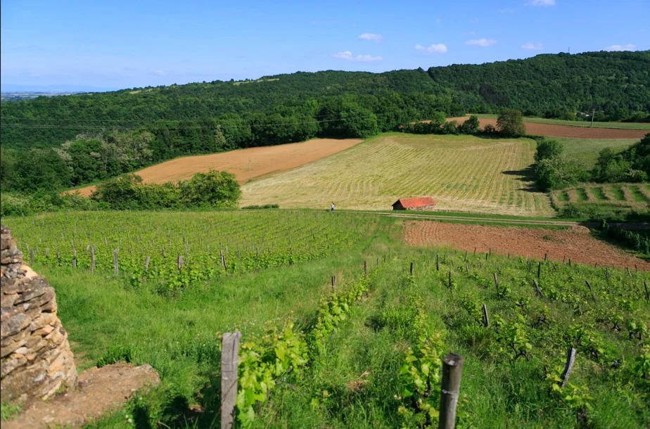 Les Jardins du Moulin à Saint-Romain-au-Mont-d'Or