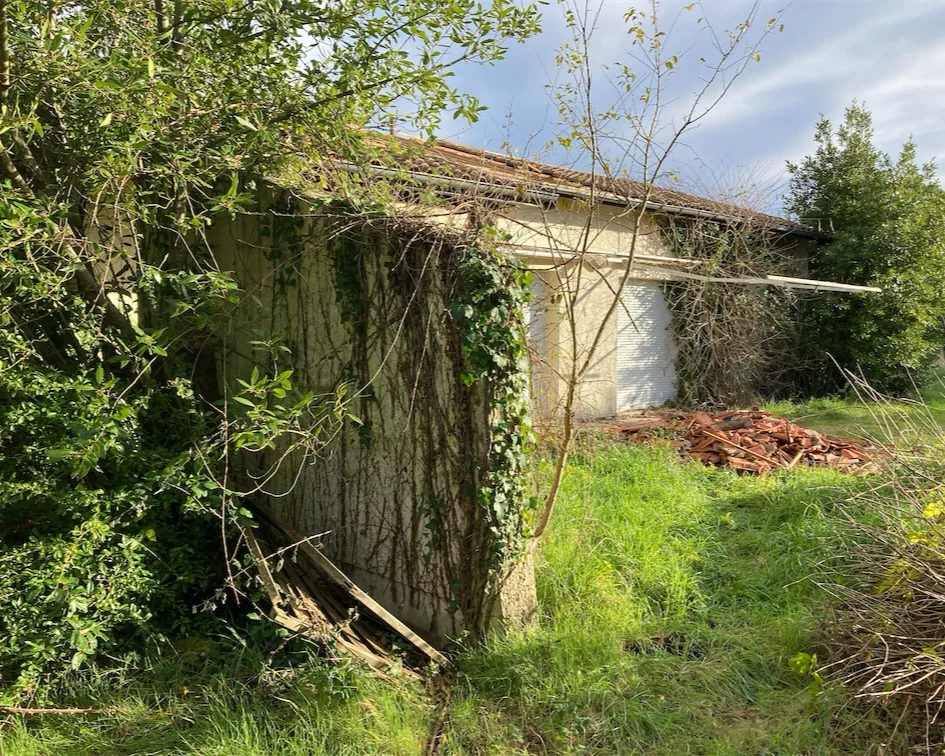 PRIMEROSE à Gujan-Mestras