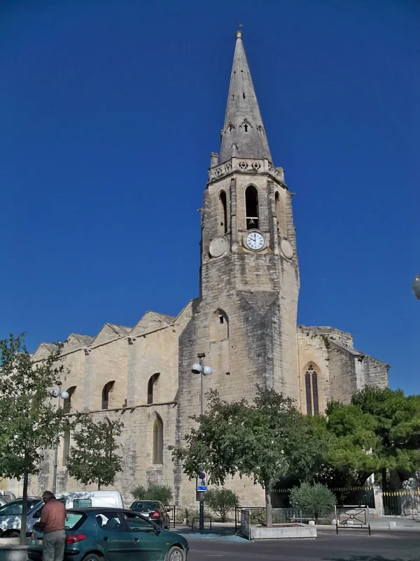 Canopée à Avignon