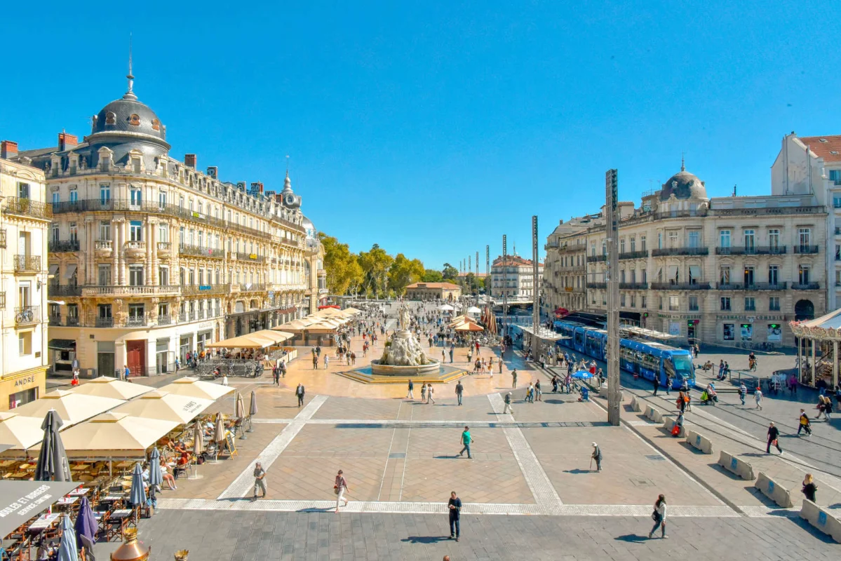 Kodama à Montpellier