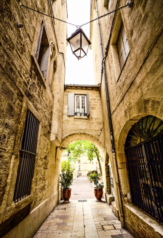 Kodama à Montpellier