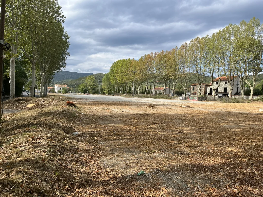 CONSTELLATION 154 à Céret