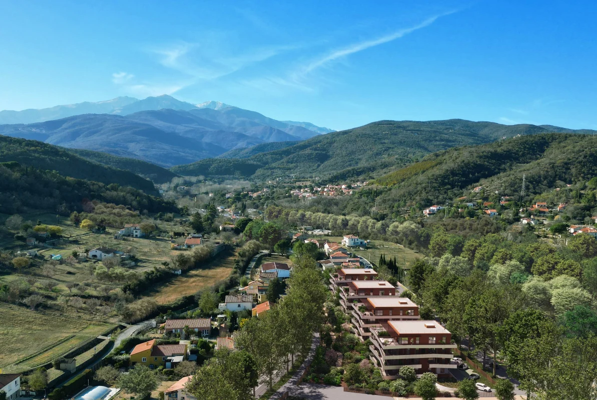 CONSTELLATION 154 à Céret