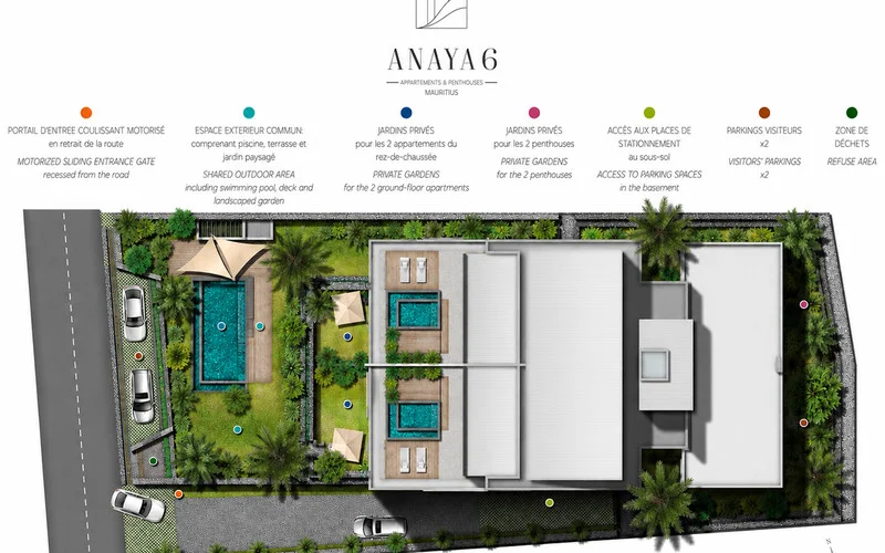 ANAYA 6 Tamarin à 