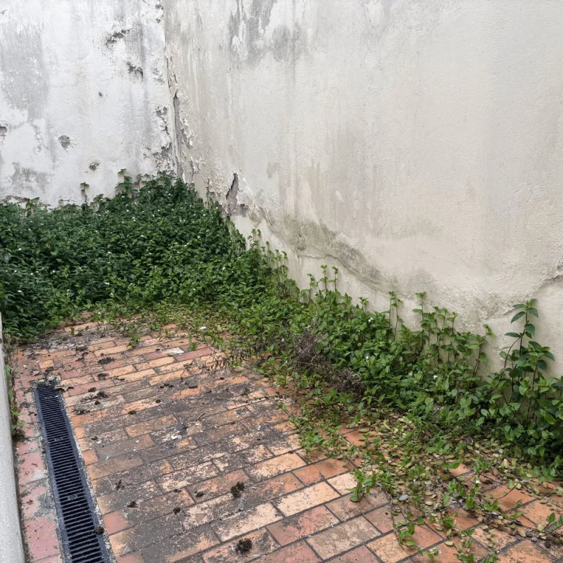 15 Rue Béranger 47000 Agen à Agen