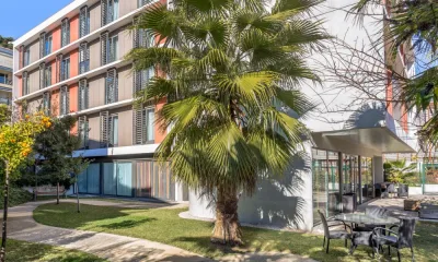 Les citronniers à Roquebrune-Cap-Martin