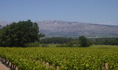 DOMAINE D'IRIS à Trets