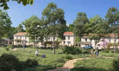 Bois sauvage à Le Taillan-Médoc