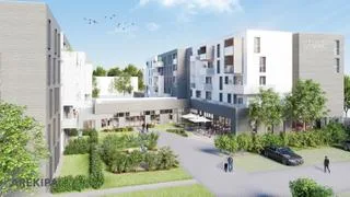 La plume de samara à Amiens