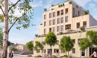 PROPOLIS à Bordeaux