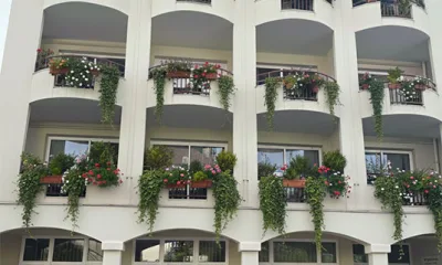 31 Rue de Chanzy à Dax