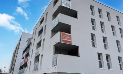 Azor à La Roche-sur-Yon