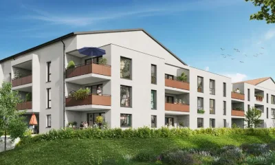 Soléa à Muret