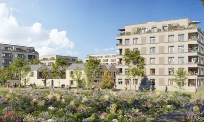 BELLIS à Brétigny-sur-Orge