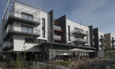 LES VIGNES POURPRES à Puilboreau