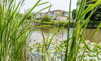 Le Jardin des Alisiers à Isle-Jourdain