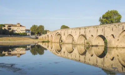 Canterelles à Béziers