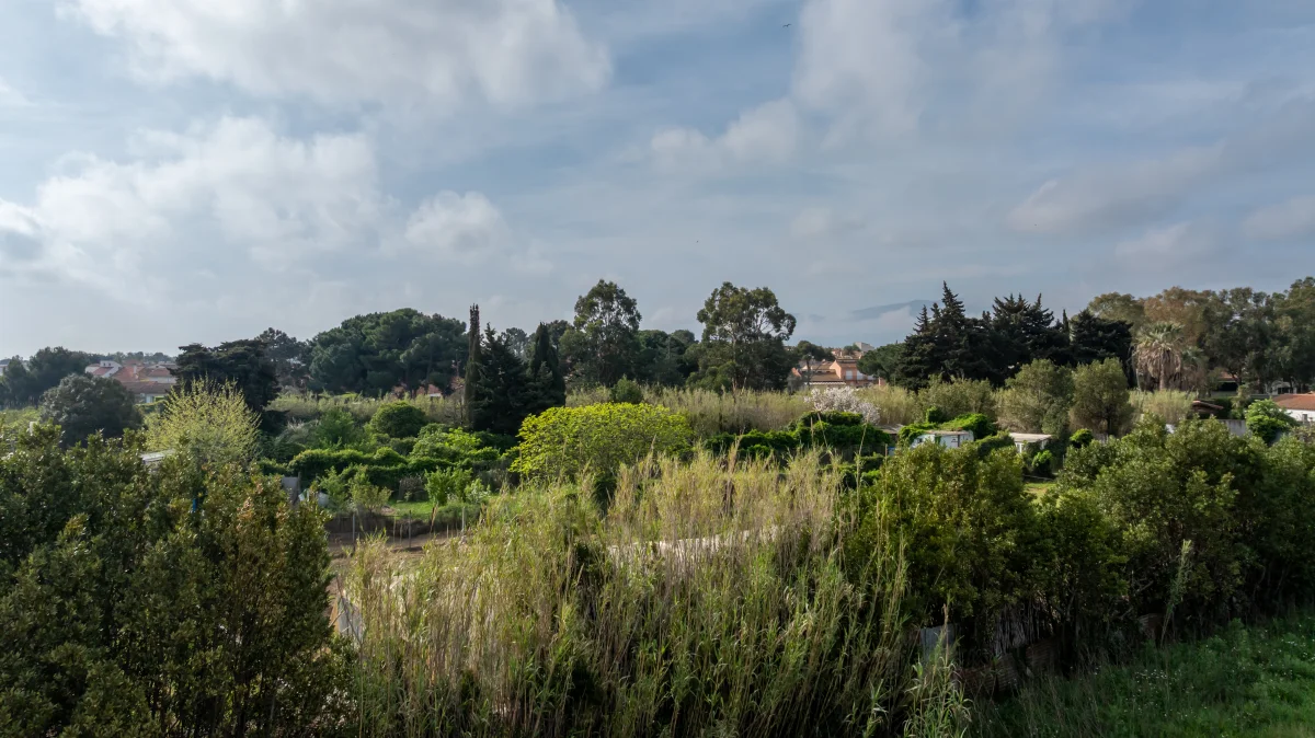 BLUE GARDEN à Saint-Cyprien
