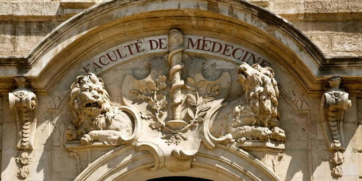 Montpellier - chauvet à Montpellier
