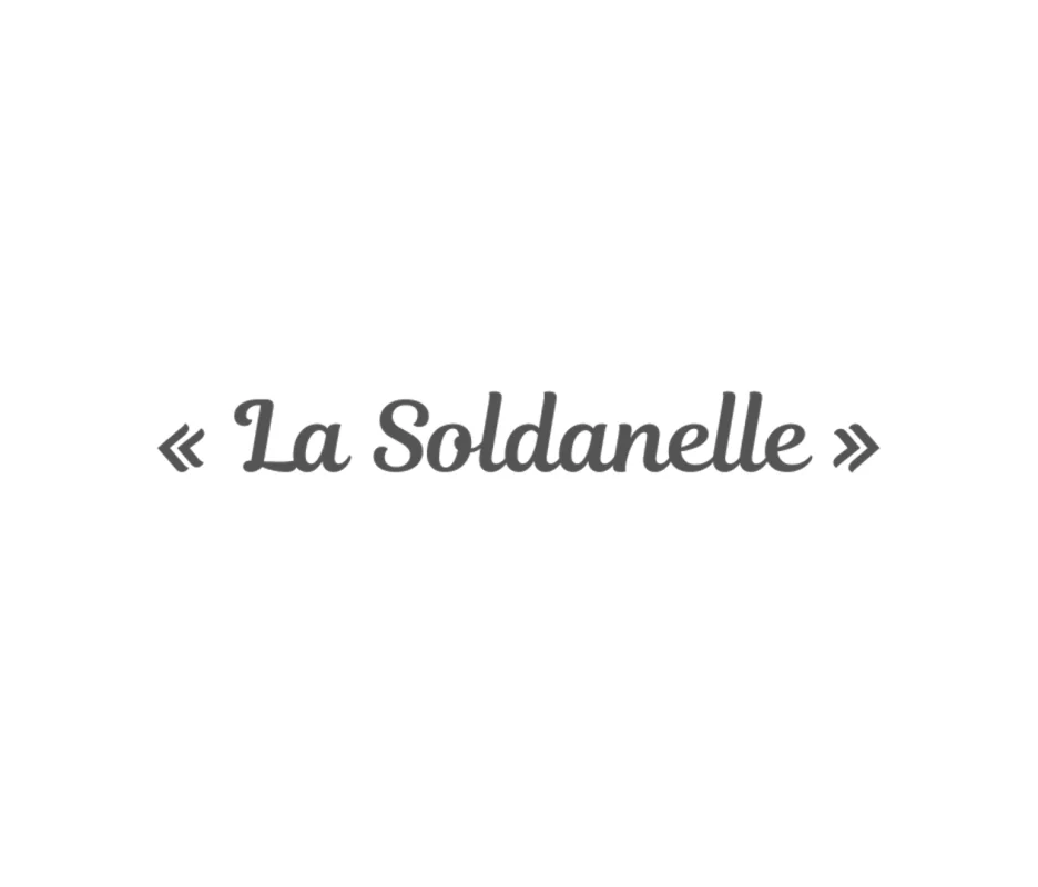La Soldanelle à Arâches-la-Frasse