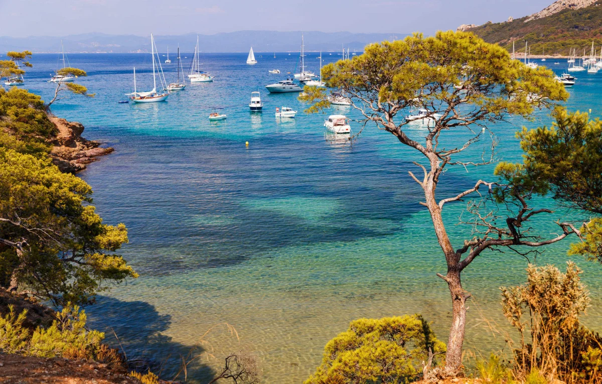 LE DOMAINE DES VIOLETTES à Hyères