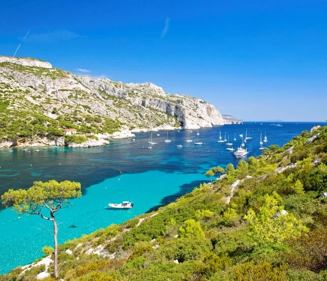 CAP ETUDES TIMONE à Marseille