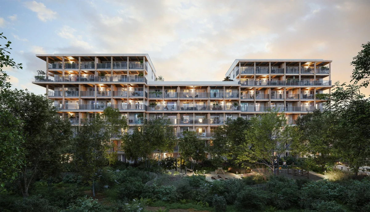 BOIS DE NAGOYA à Toulouse