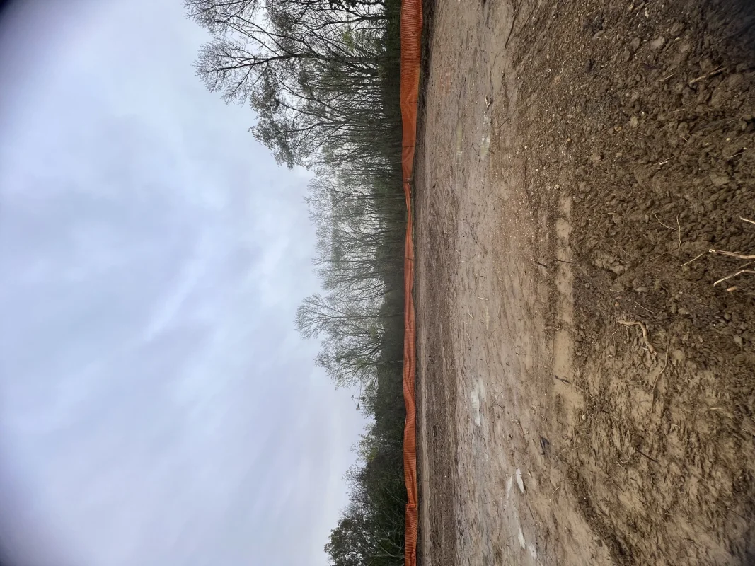 BOIS DE NAGOYA à Toulouse