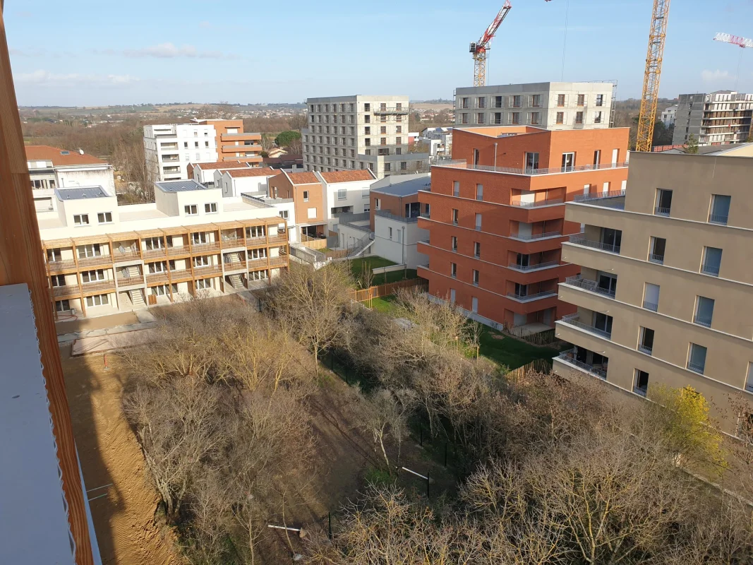 BOIS DE NAGOYA à Toulouse