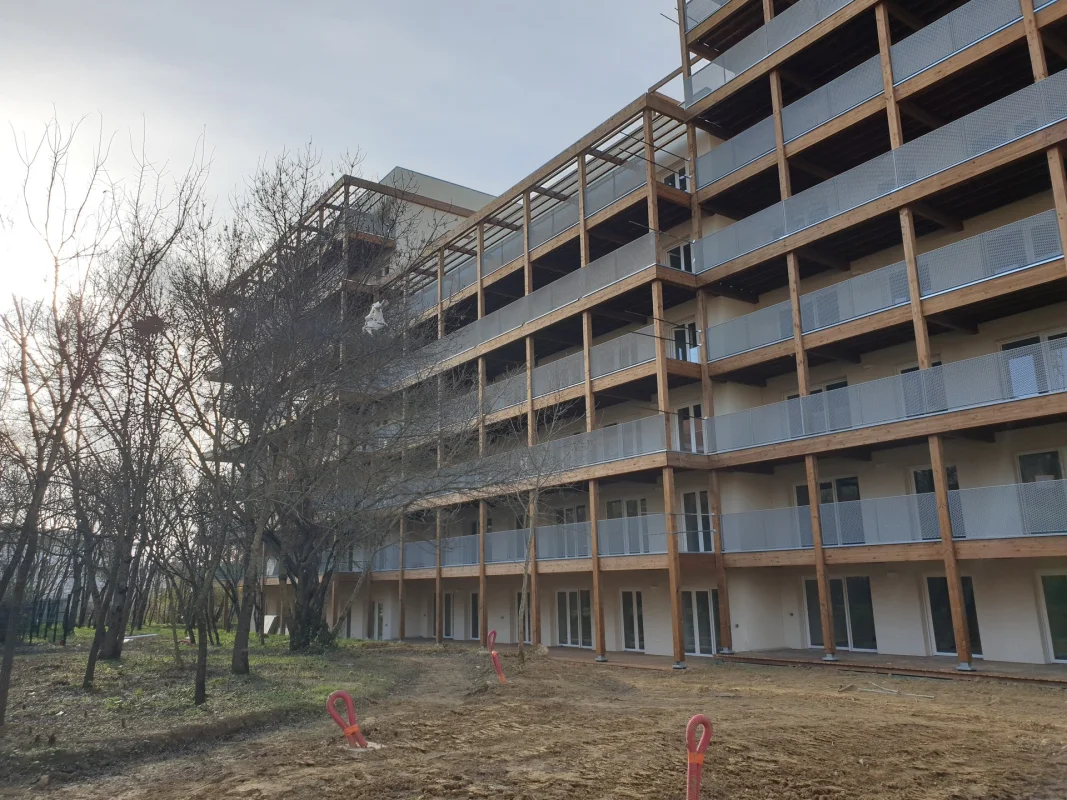 BOIS DE NAGOYA à Toulouse