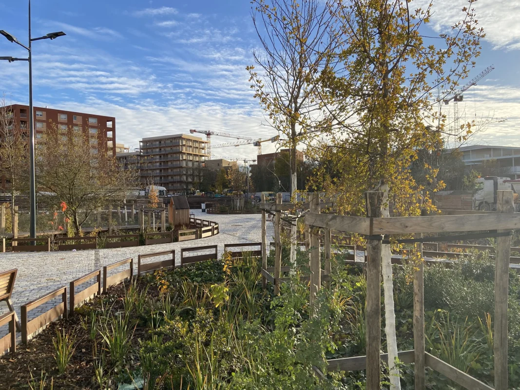 BOIS DE NAGOYA à Toulouse