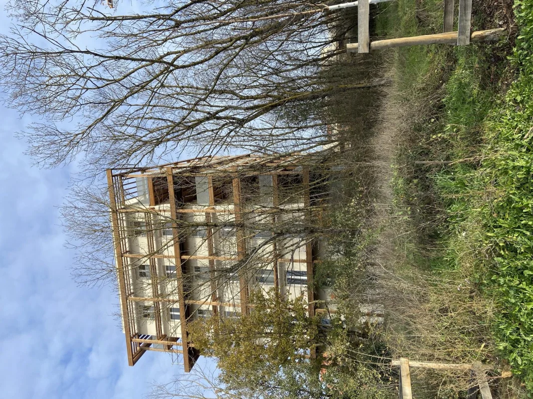 BOIS DE NAGOYA à Toulouse