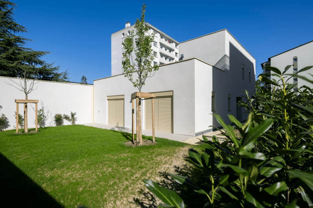 Tilia à Lyon