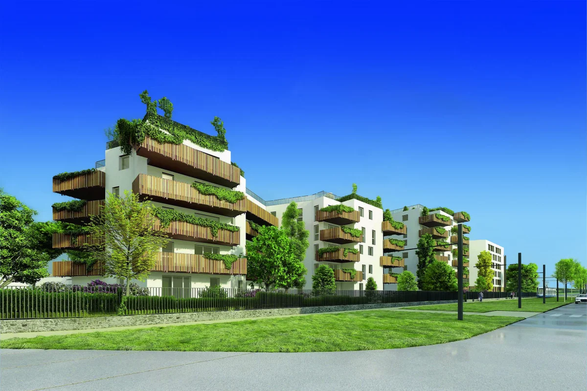 TOSHI à Montpellier