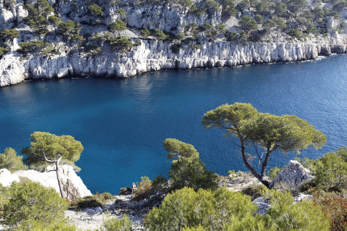 Sanha à La Seyne-sur-Mer
