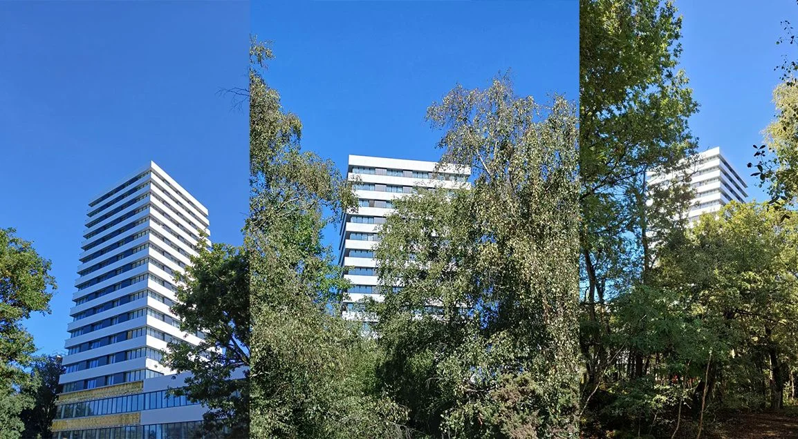 Perspectives à Rennes