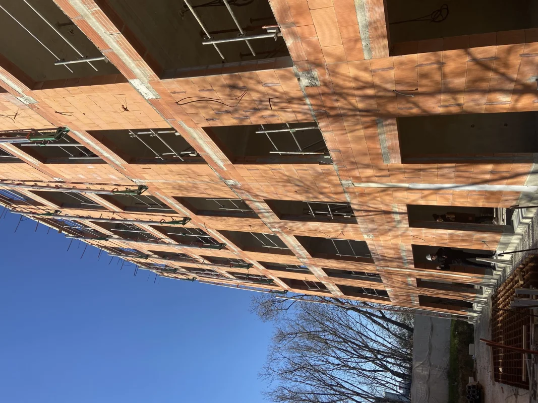 BOIS DE NAGOYA à Toulouse